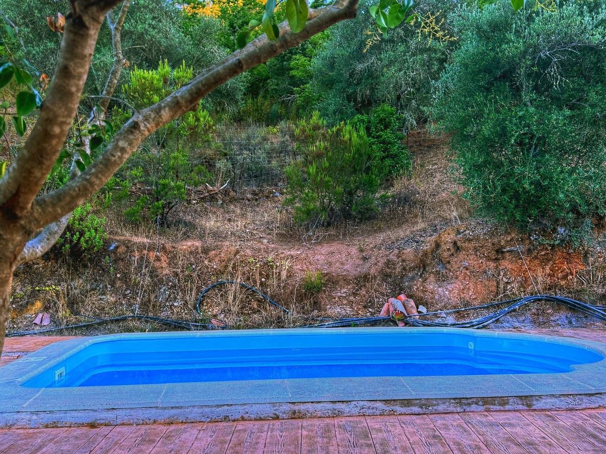 La piscina bajo la sombra de los árboles de la finca