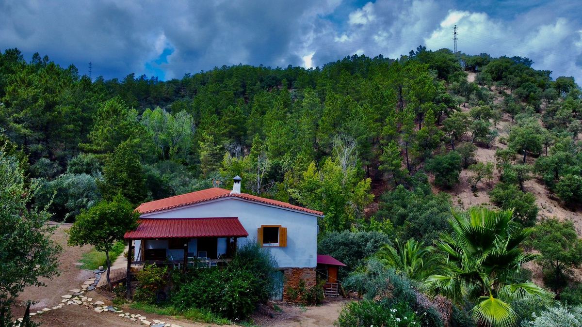 La casa, en el interior de la finca, entre encinas, pinos y olivos