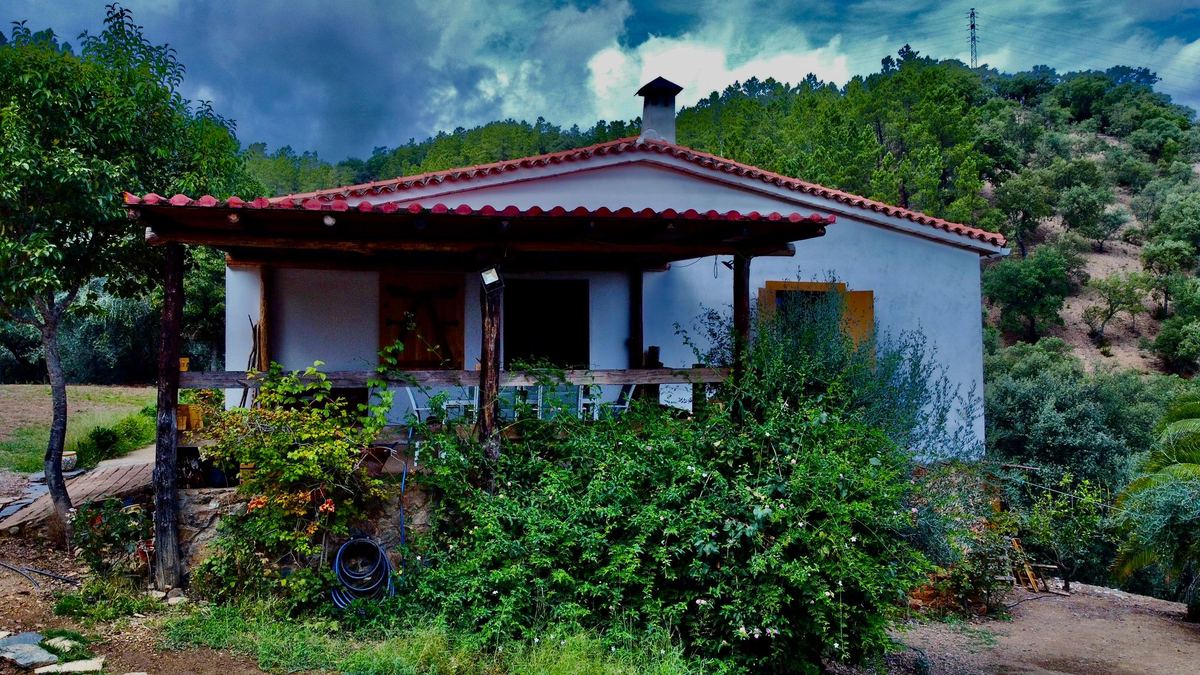 Fachada de la casa rural con su porche, rodeada por el bosque de la finca